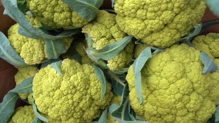fresh cauliflower in the market