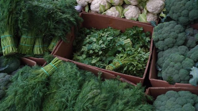  fresh herbs and vegetables at the farmer's market