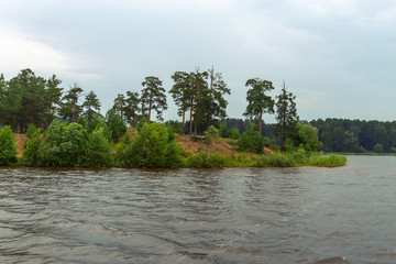 Rain over the Volga. View of a pine forest located on the river Bank. Ivanovo region, Russia.