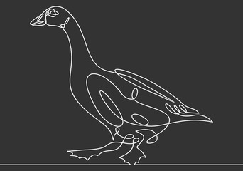Fototapeta na wymiar Continuous line drawing of goose. Vector illustration.