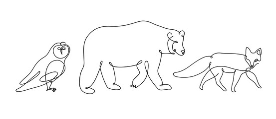 Fox, bear and owl drawn with a thin line.
