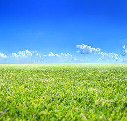 Fototapeta na wymiar Classic beautiful landscape. Green surface of beautiful natural grassy lawn in summer sunny weather. Clear blue sky with cumulus clouds. Free from anything horizon.