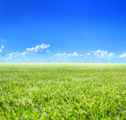 Classic beautiful landscape. Green surface of beautiful natural grassy lawn in summer sunny weather. Clear blue sky with cumulus clouds. Free from anything horizon.