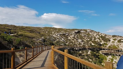 Fototapeta premium Australia - Sentiero a Seal Bay Conservation Park
