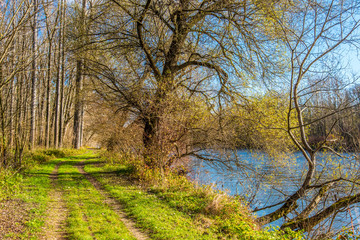 Naklejka premium River in Slovenia from coast