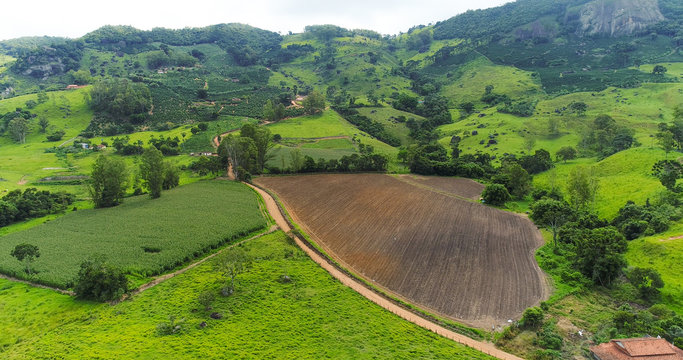Aerial image coffee plantation, coffee farm