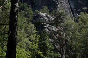 Tiger-shaped sandstone formation spotted in Saxon Switzerland