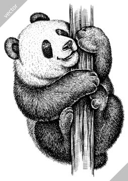 black and white engrave isolated panda vector illustration