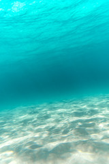 Fototapeta premium Underwater paradise, Australia