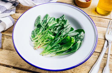 Fresh green baby spinach on plate on wooden rustic table. Healthy diet, vegetarian food concept.