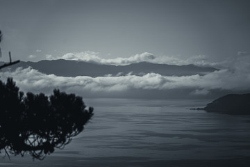 Wellington in a foggy morning; black and white style