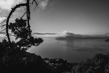 Wellington in a foggy morning; black and white style