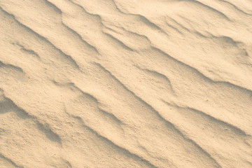 wrinkled desert sand texture. Beach, Africa background