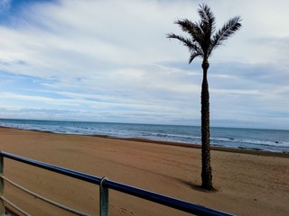 Palma Playa