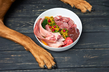 Natural raw organic dog food in bowl on black wooden floor and dog's paws on background