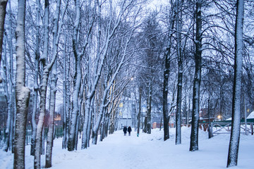 Two women walk in a symmetrical winter park in the evening. Two people walk between the trees in the snow