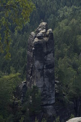 Rohnspitze rock from Carolafelsen in front of green forest, Saxon Switzerland