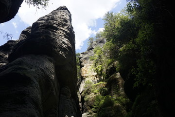 High and steep sandstone rock spotten on our wild hell tour in Saxon Switzerland