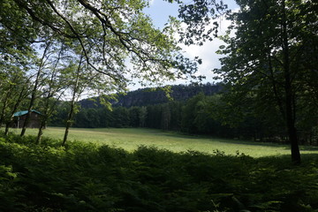 Wildwiese meadow with wooden hut at the foot of the Schrammsteine