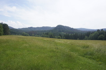 Fototapeta na wymiar Beautiful view over meadow and forest to the Lorenzstein mountain