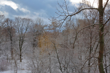 City park covered in snow at dusk of a winter evening