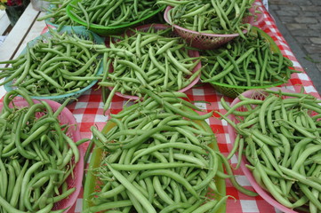 String Beans Farm Fresh in Baskets at Market