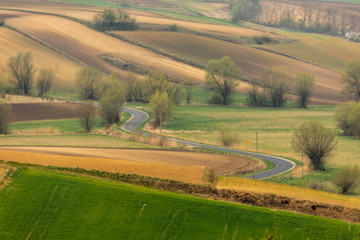 Spring fields in Ponidzie in Poland- fields near Kielce and Krakow. 