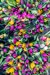 Bouquets of multicolor tulips on street flower market