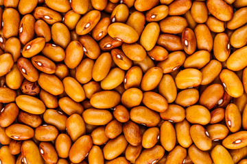 Beans of bean ( beans ). Background of many grains of dried beans. Brown beans texture. Food background. Close up.Vegetables for diet and healthy eating.Organic food. Background of brown bean.