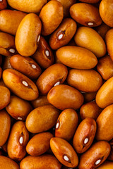 Beans of bean ( beans ). Background of many grains of dried beans. Brown beans texture. Food background. Close up.Vegetables for diet and healthy eating.Organic food. Background of brown bean.