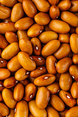Beans of bean ( beans ). Background of many grains of dried beans. Brown beans texture. Food background. Close up.Vegetables for diet and healthy eating.Organic food. Background of brown bean.