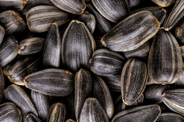 Black sunflower seeds, square organic background. For texture or background. top view