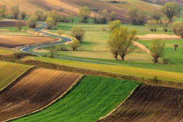 Fototapeta na wymiar Spring fields in Ponidzie in Poland- fields near Kielce and Krakow. 