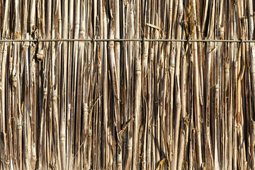 Old reeds bound together for use as a backdrop