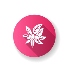 Jojoba pink flat design long shadow glyph icon. Miracle fruit. Brazilian fruit with leaves. Botany. Exotic plant. Cosmetic oil production. Silhouette RGB color illustration