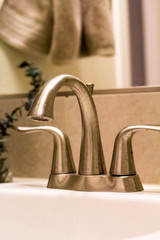 Chrome bathroom sink with eucalyptus and mirror behind