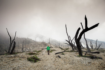 dead forest near the volcano, burnt forest in the fog