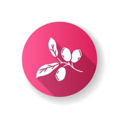 Jojoba pink flat design long shadow glyph icon. Exotic fruits. Botany. Miracle fruit. Brazilian plant. Cosmetic oil production. Silhouette RGB color illustration