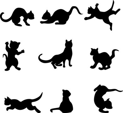 image of silhouettes of playing seals.