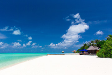 Naklejka premium Beautiful beach with sand, turquoise ocean, green palm trees and blue sky with clouds. Summer tropical landscape.