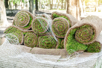 Stacks of green fresh rolled lawn grass on wooden pallet at dirt prepared for installation at city park or backyard on bright sunny day. Green tree forest on background. Gardening landcaping service