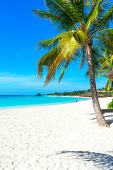 Panoramic view of a beautiful sunny day on sandy beach in the Maldives. - obrazy, fototapety, plakaty