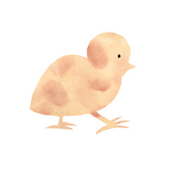 Little running chicken for a light Easter holiday. Watercolor hand drawn illustration