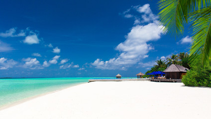 Obraz premium Beautiful beach with sand, turquoise ocean, green palm trees and blue sky with clouds. Summer tropical landscape.