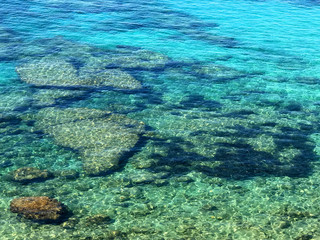 Fototapeta na wymiar 透き通った海（クロアチア）