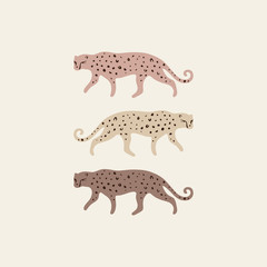 Exotic wild cats. Leopards set. Inhabitants of Asia. Good for summer sale, social media promotional content, t-shirt prints and more. Different colors. Vector illustration.