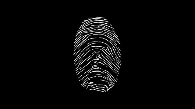 Ten human fingerprints, including the basic patterns: arch, loop and whorl. Biometric search and authentication. Security technology. Black and White.