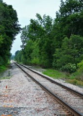 Fototapeta premium railway in the forest