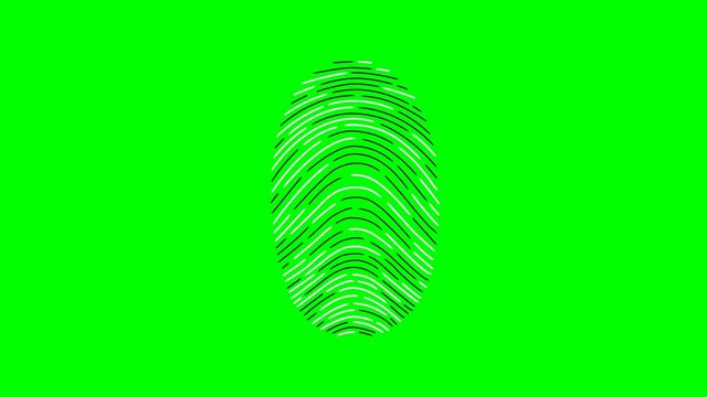 Fingerprint recognition. Scanner showing the three basic types of patterns in fingerprints: arch, loop and whorl. Biometric search and authentication. Security technology. Green Screen.