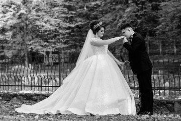 Black and white photo. Newlyweds are walking in the park on the wedding day. Stylish groom gently kissing hand bride's. Wedding.